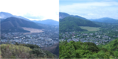 金時山中腹からの仙石原湿原眺望