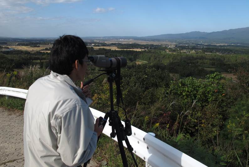 放鳥トキのモニタリング