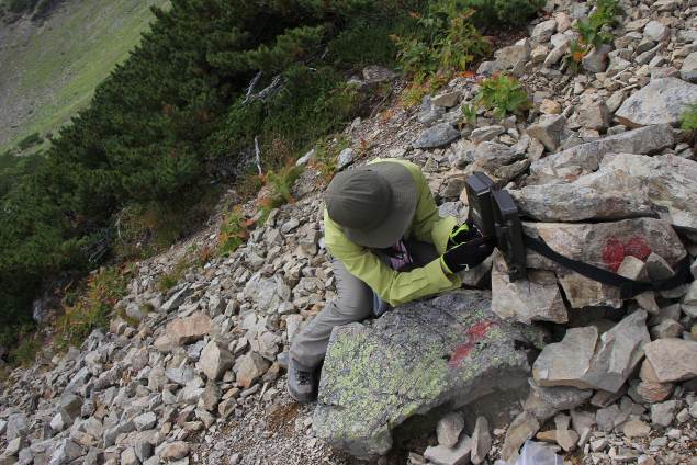 センサーカメラによる調査（仙丈ヶ岳）